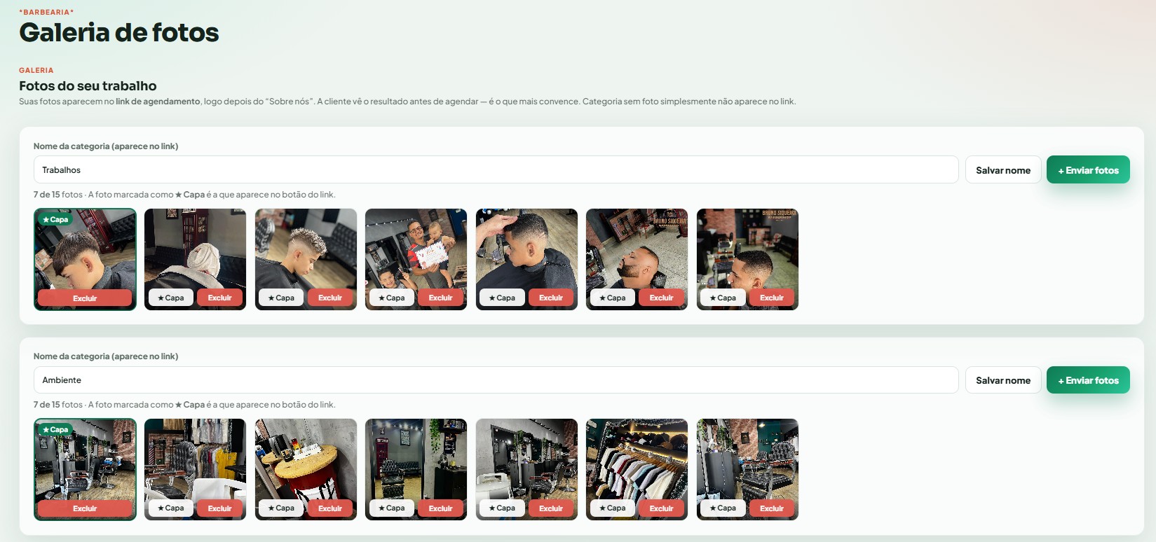 Tela da Galeria com duas categorias, Trabalhos e Ambiente, e as fotos enviadas